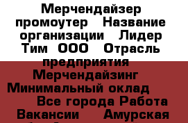 Мерчендайзер-промоутер › Название организации ­ Лидер Тим, ООО › Отрасль предприятия ­ Мерчендайзинг › Минимальный оклад ­ 27 000 - Все города Работа » Вакансии   . Амурская обл.,Архаринский р-н